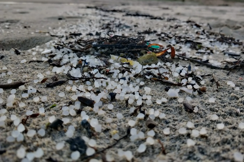 Lee más sobre el artículo La catástrofe ocasionada por los Pellets en Galicia