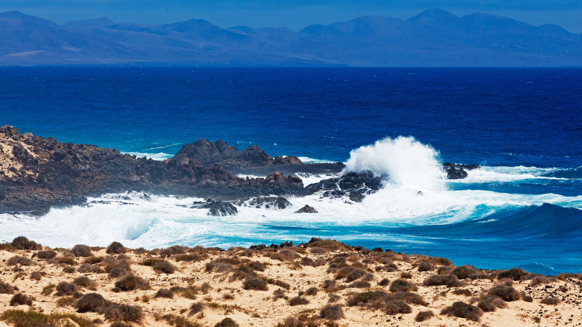 Lee más sobre el artículo Campamento de surf en Fuerteventura