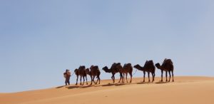 Lee más sobre el artículo ¿Te apuntas a un surftrip a Marruecos?